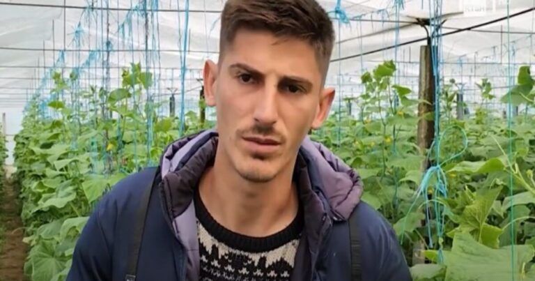 Vëllezërit kthehen nga emigrimi në Shqipëri, investojë në kultivimin e perimeve në sera